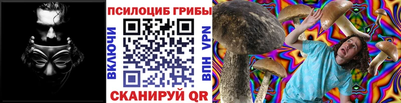 Галлюциногенные грибы Psilocybine cubensis  закладки  Свирск 